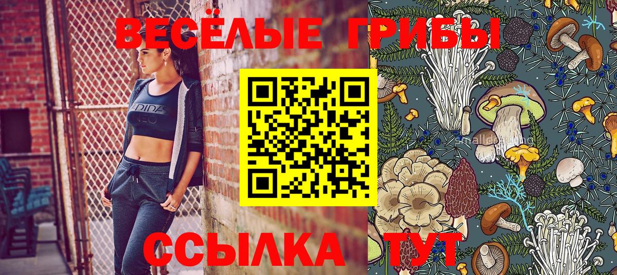 Псилоцибиновые грибы Psilocybe  Вход с VPN  Нижнеудинск 
