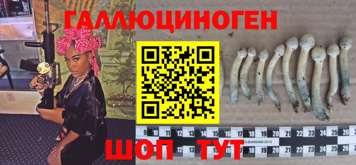 Галлюциногенные грибы GOLDEN TEACHER Нижнеудинск